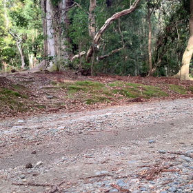 あした死ぬなら　こんなことをしたいの画像