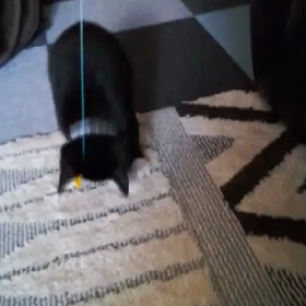 俺っちオレオの画像