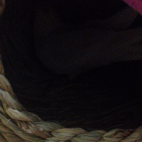 別宅での過ごし方の画像