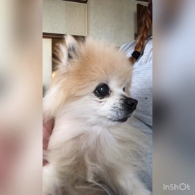 びっくりしました。の画像