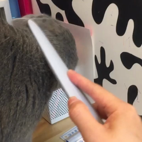 ねこじゃすりの画像