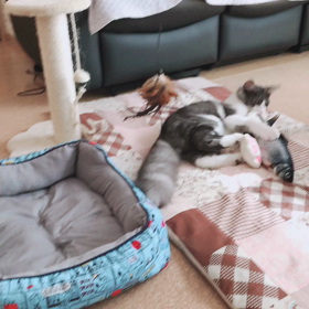 あんたに言われたかないわの画像