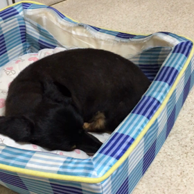 襲われた〜の画像