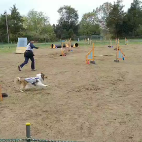 4/25(木)の画像