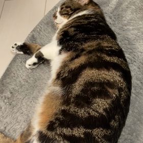 五連 勤終わり〜！！の画像