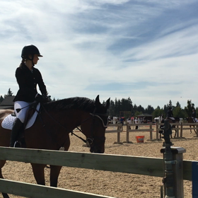 乗馬大会 練習状況の画像