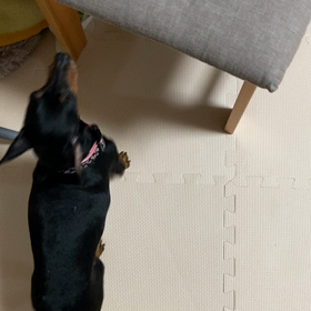 いつの間にの画像