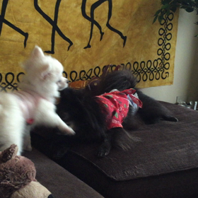 仲良し？の画像