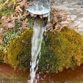 2023.02.11 kin009 使命感について考えてみましょう。の画像