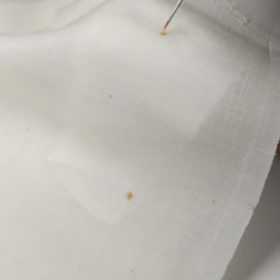 夏帯の黄変の画像