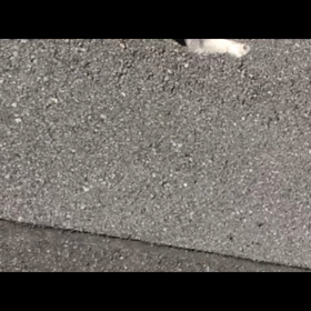 スジ走る！の画像