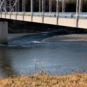 庄内川　の画像