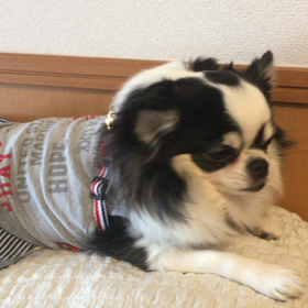 おでかけの前は・・・の画像