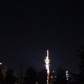 ⭐️花火⭐️の画像