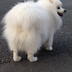 目指すは…♪( ´θ｀)ノの  画像