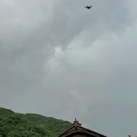 ★昼からこんな感じ★の画像