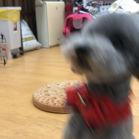 ひめる編。の画像