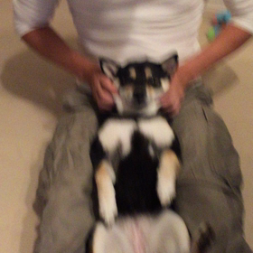 顔面マッサージの画像