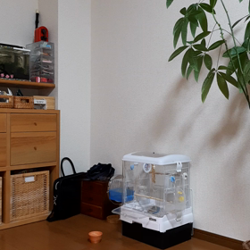 osmo mobile3 テストの画像