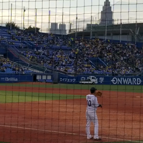 動画色々の画像