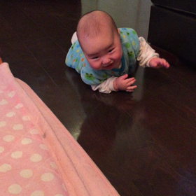 ハイハイ。の画像