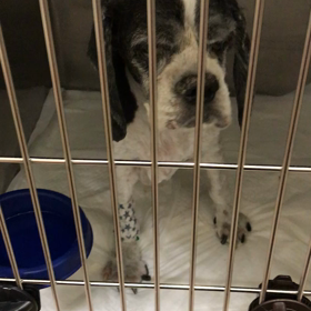 無事成功しました！の画像