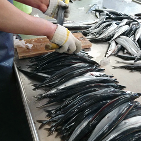 作業中 こんな感じでの画像