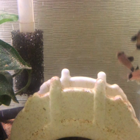 それは砂のせいの画像