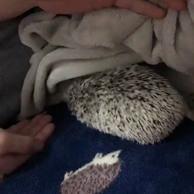 もう1人のお兄ちゃん(O_O)の画像