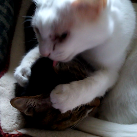 40歳はカラダの曲がり角？の画像