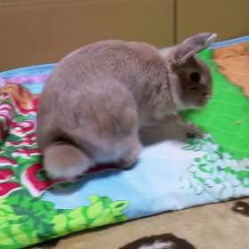 現行犯！の画像