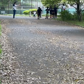 リレー選考会(男子)中間付近⑦の画像