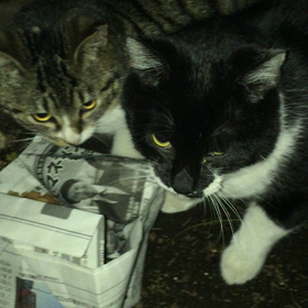 今日は大寒　　Today is "DAIKAN",the coldest seasonの画像