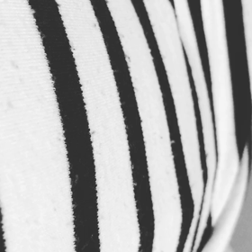 胎動ムービー♡の画像