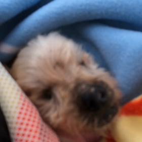 点滴2日目の画像