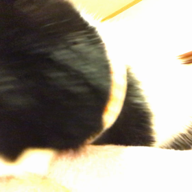 熱い抱擁タイムの画像