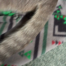 イベント延期の画像