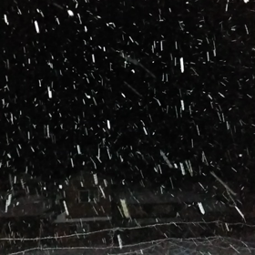 雪が降って来ました！の画像