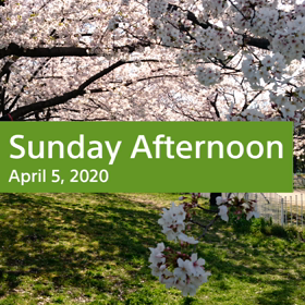 お花見さんぽの画像