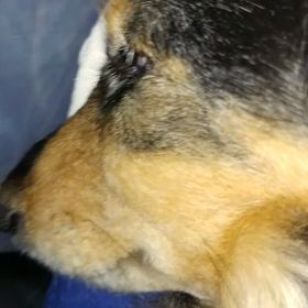 凄い(笑)の画像