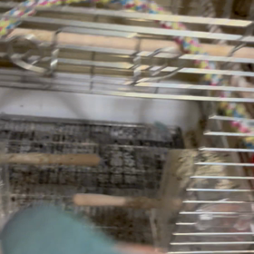 ひと安心ですか。。。の画像