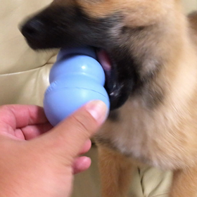 コングラチュレーションの画像