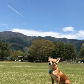太陽☀️と風を感じるクローリー(๑˃̵ᴗ˂̵)の画像