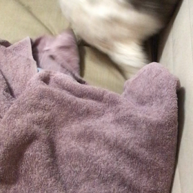 セイレーンの懺悔　全話の画像