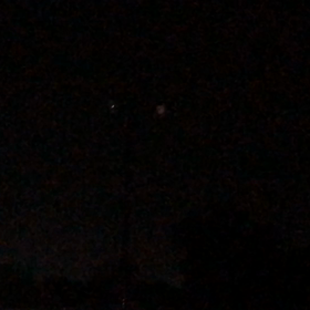 What is that？の画像