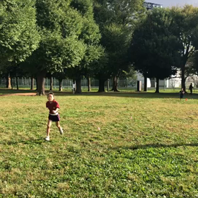 航空公園練習1000m １組目⑦の画像