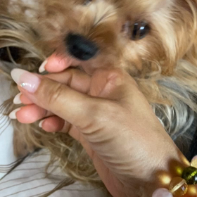 かみかみかみの画像