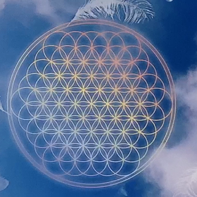 今日は幸せをため込む日〜(*^▽^*)の画像