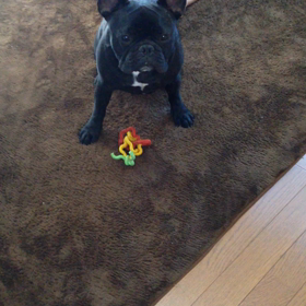 キャッチ。。の画像