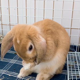 隠し撮りの画像